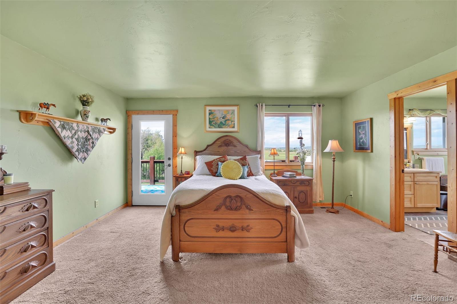 MLS Image #9 for 899  county road 18 ,fairplay, Colorado