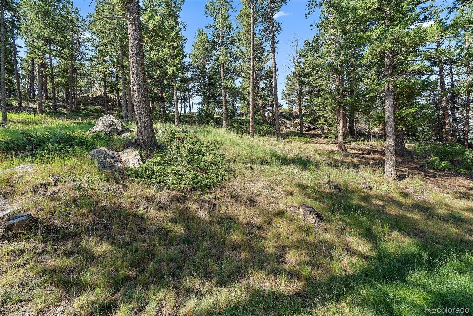 MLS Image #26 for 1291  sugarbush drive,evergreen, Colorado