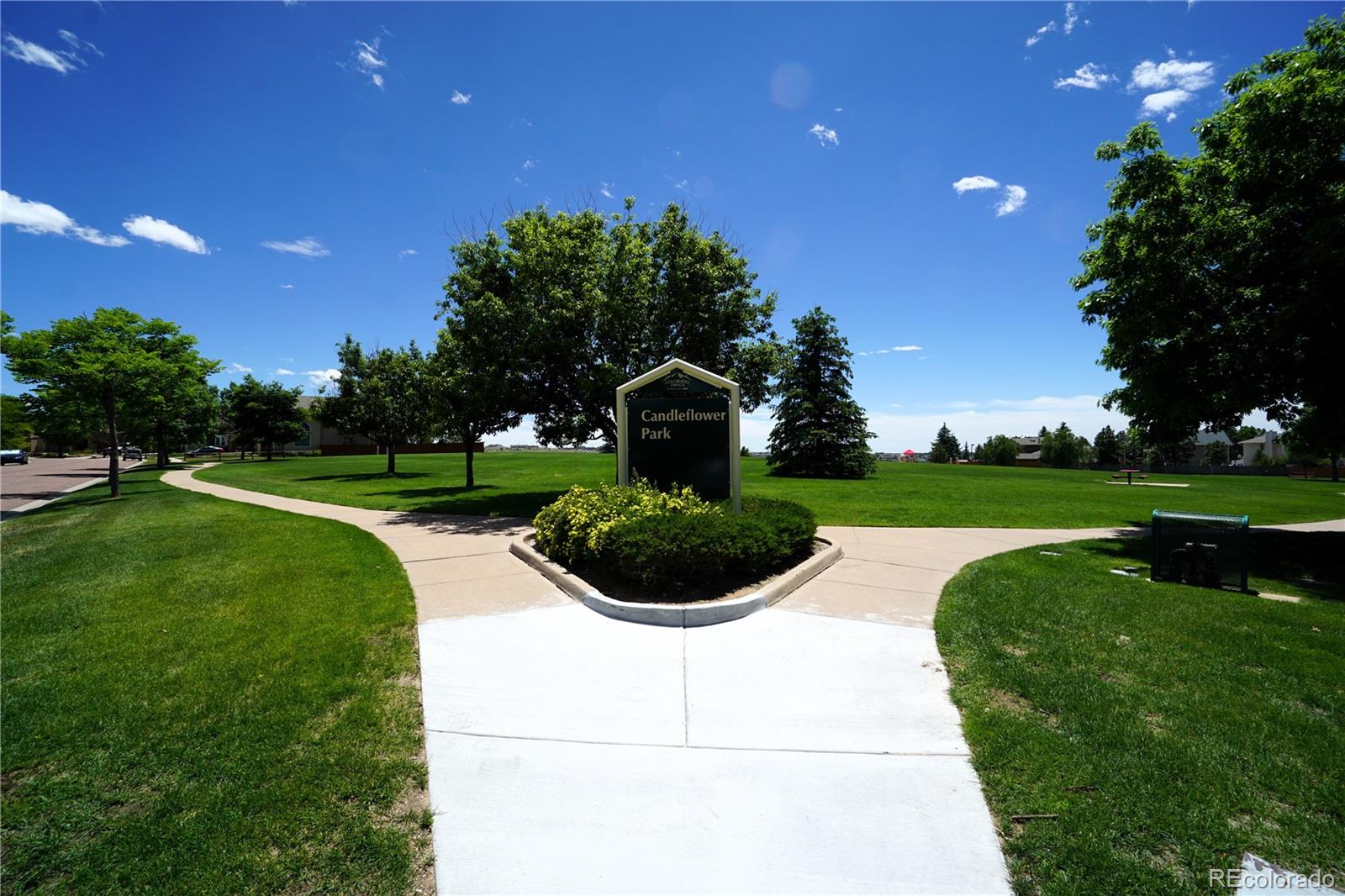 MLS Image #44 for 8573  candleflower circle,colorado springs, Colorado