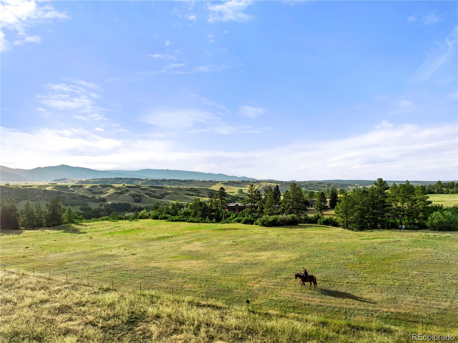 MLS Image #42 for 3675 s perry park road,sedalia, Colorado