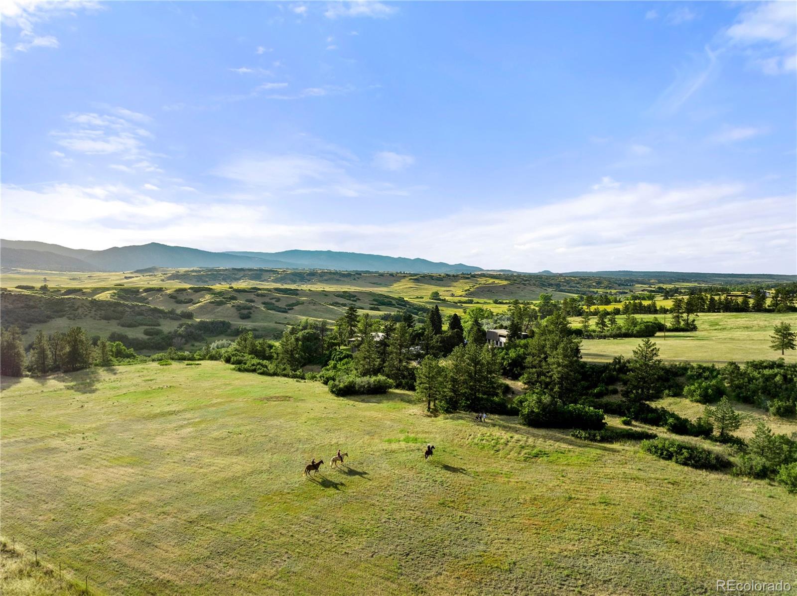 MLS Image #43 for 3675 s perry park road,sedalia, Colorado