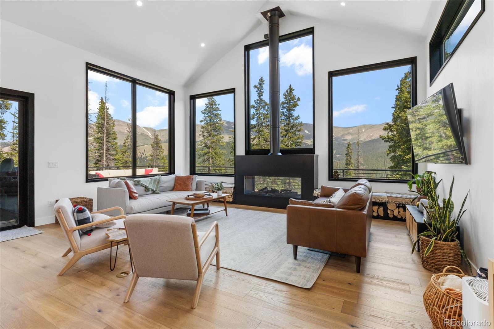 MLS Image #2 for 76  hamilton lane,breckenridge, Colorado