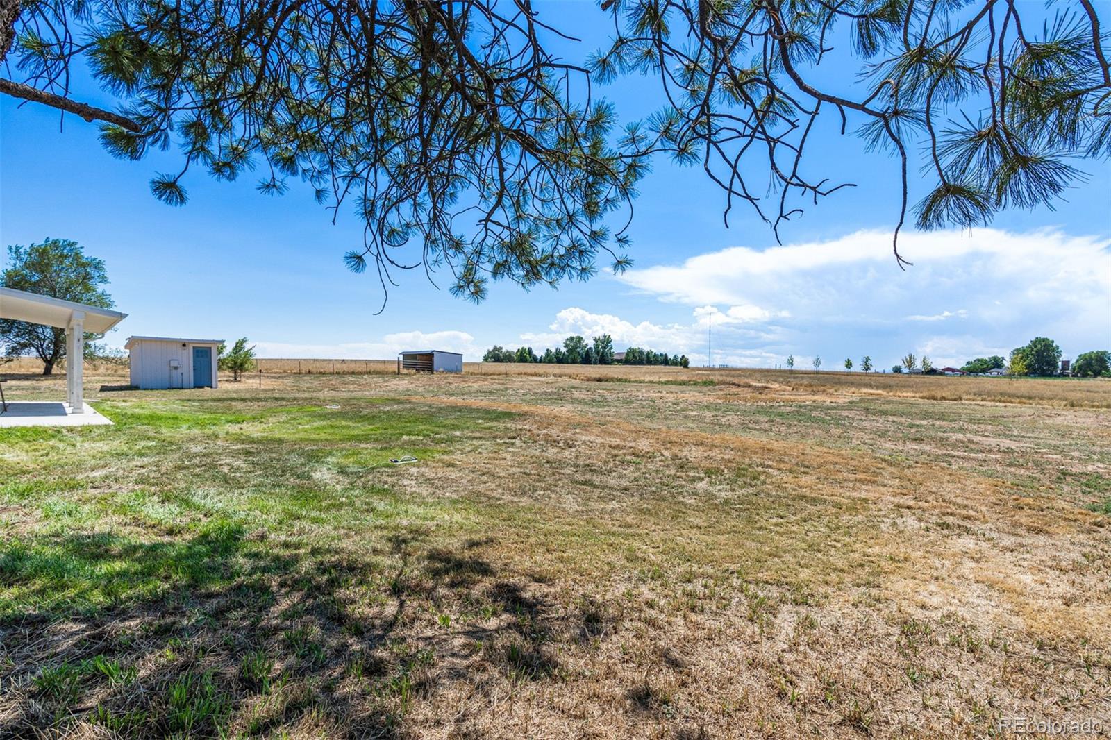 MLS Image #44 for 344  county road 16 1/2 ,longmont, Colorado