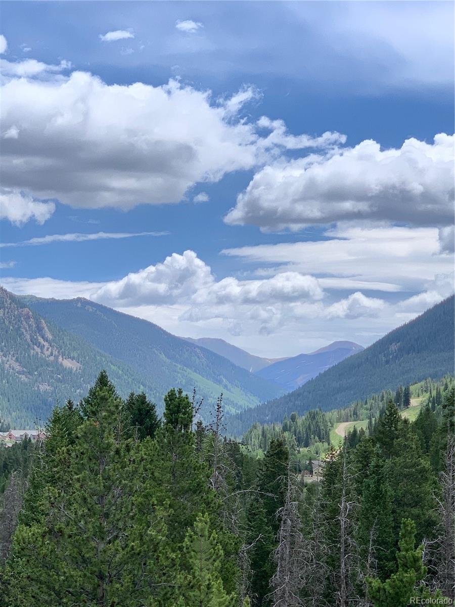 MLS Image #15 for 0117  lake ridge circle 1865,keystone, Colorado