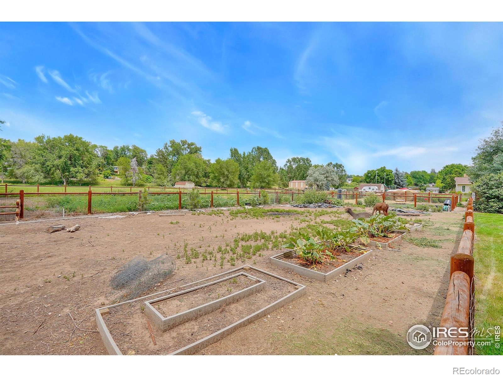 MLS Image #29 for 1217 w 5th street,loveland, Colorado