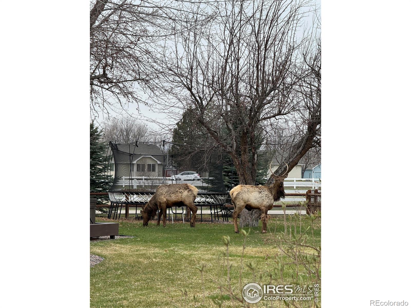 MLS Image #39 for 1217 w 5th street,loveland, Colorado