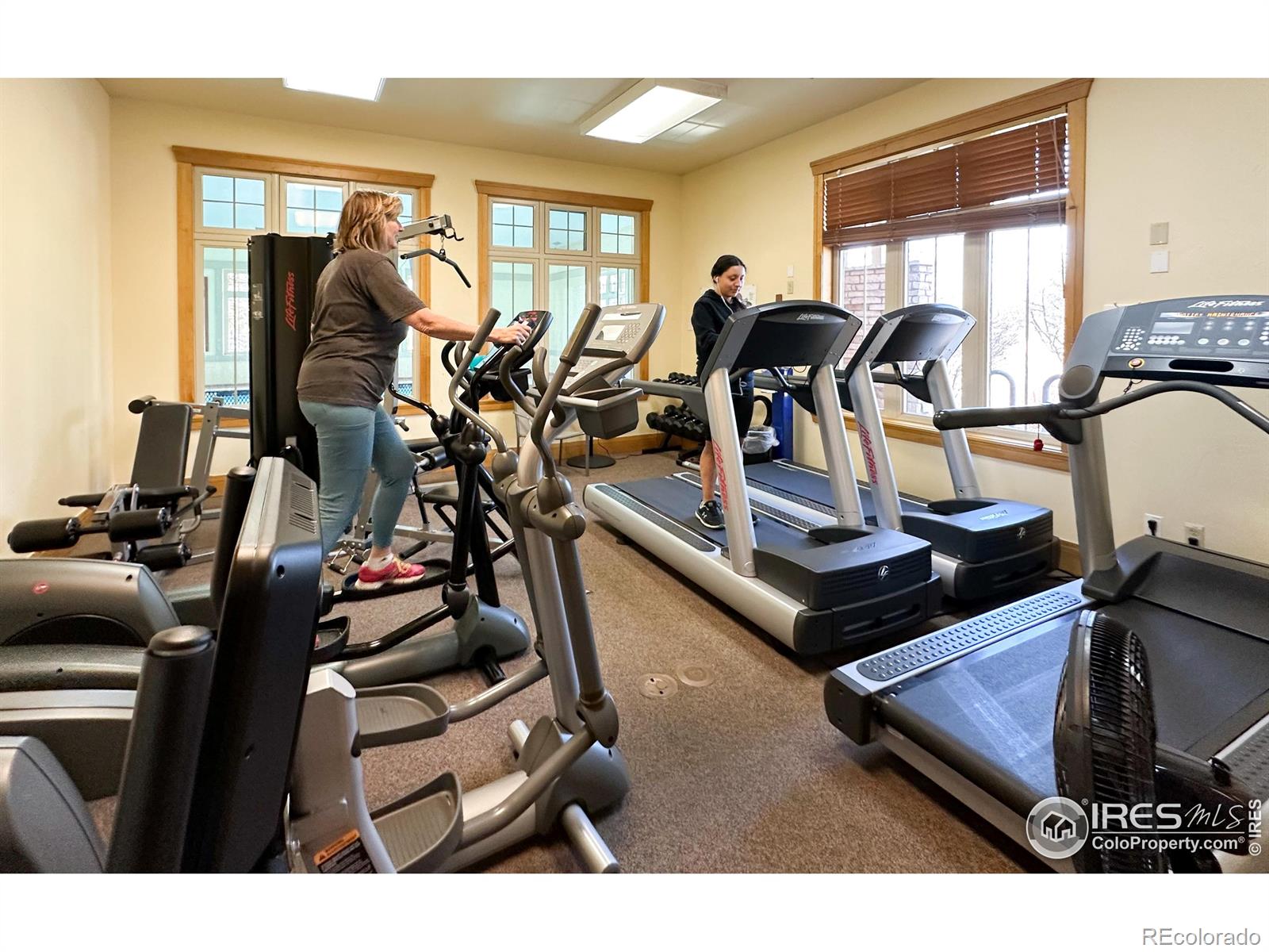 MLS Image #34 for 3540  boulder circle,broomfield, Colorado