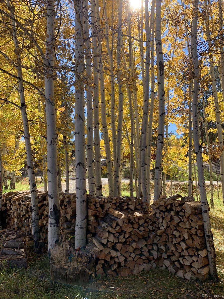 MLS Image #16 for 328  fir drive,south fork, Colorado