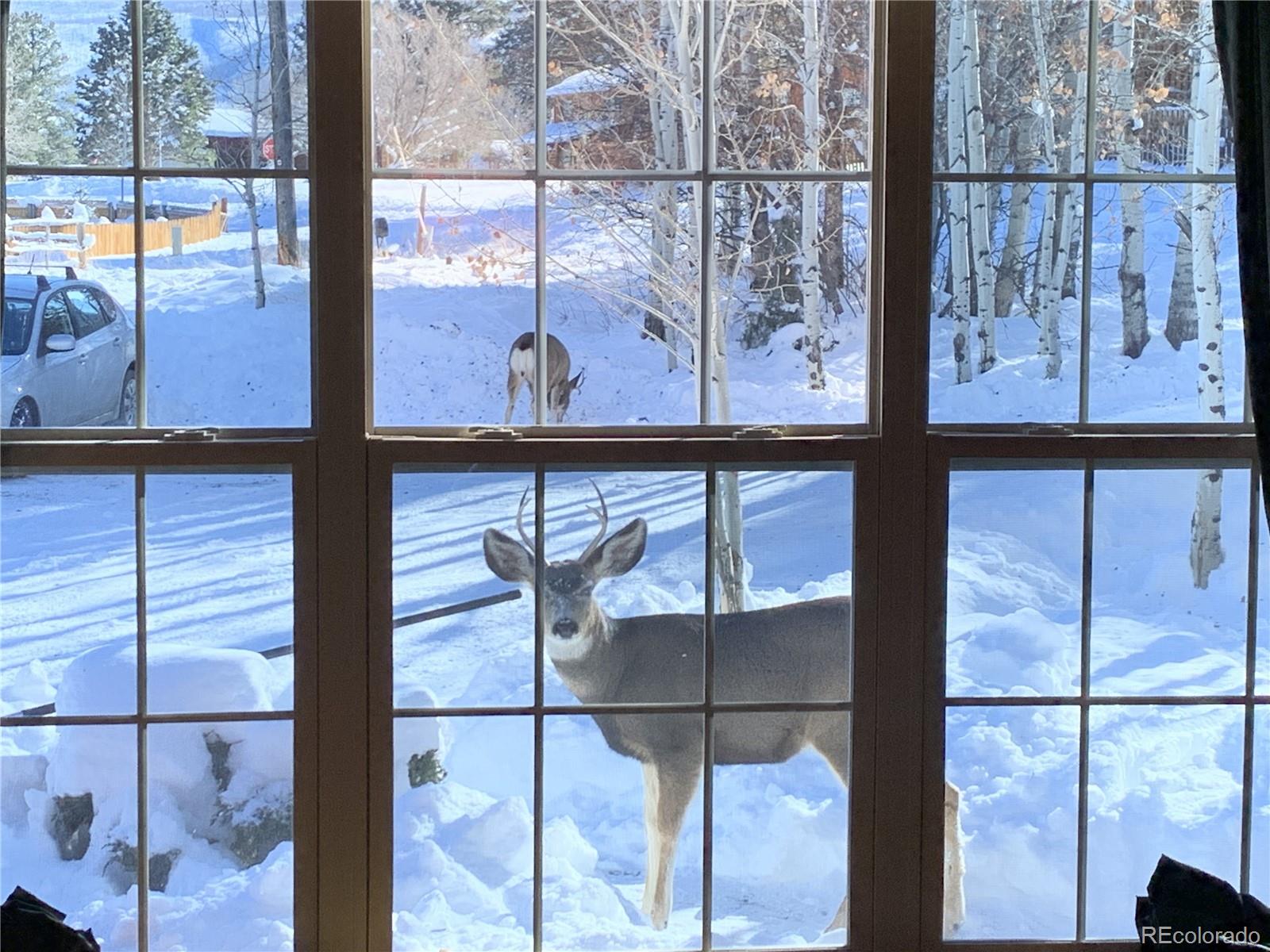 MLS Image #8 for 328  fir drive,south fork, Colorado