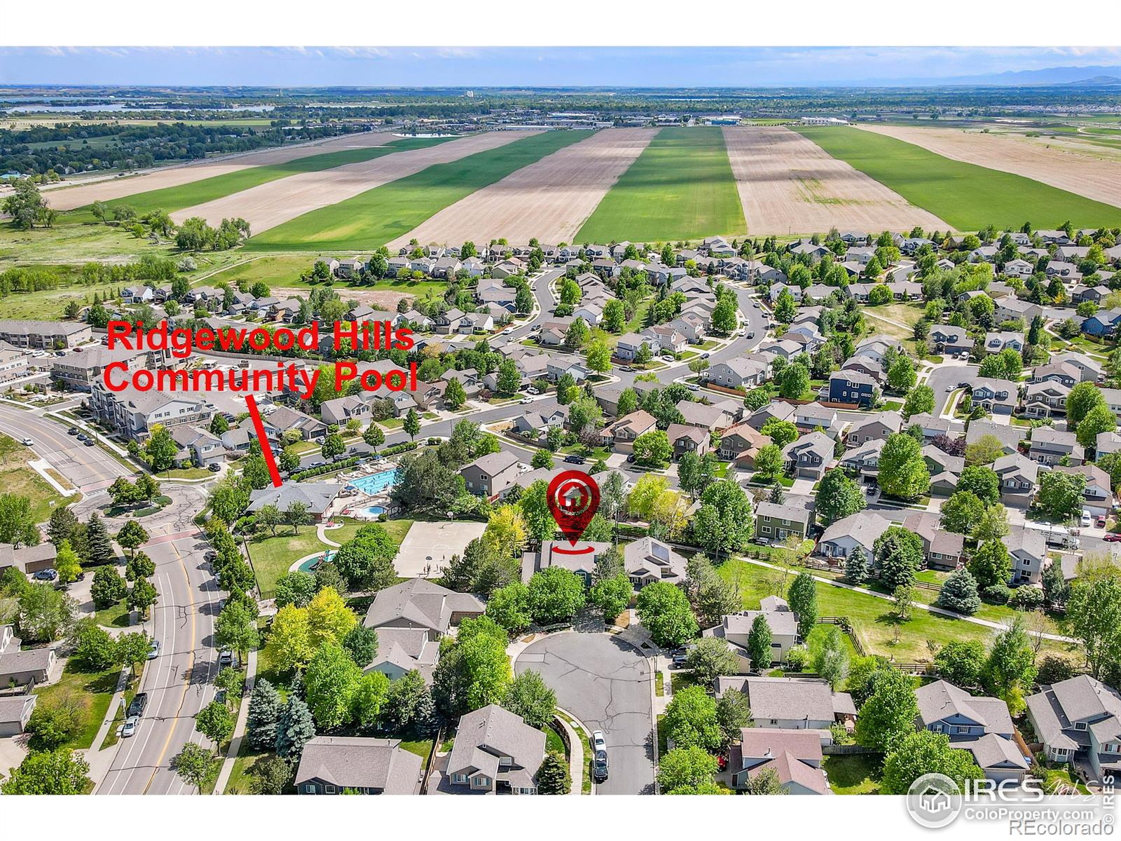 MLS Image #35 for 7238  kersey court,fort collins, Colorado