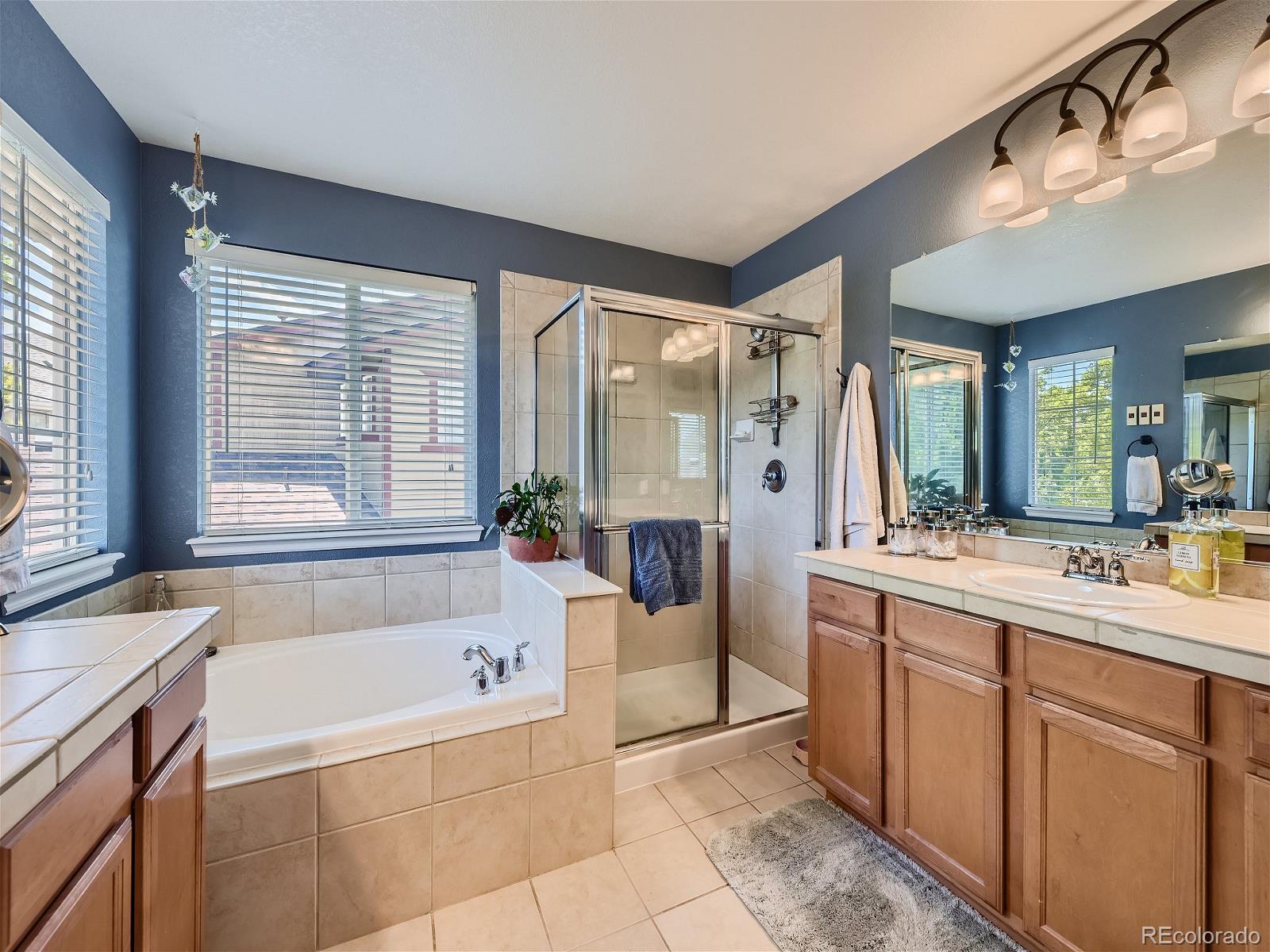 MLS Image #16 for 10757  riverbrook circle,highlands ranch, Colorado