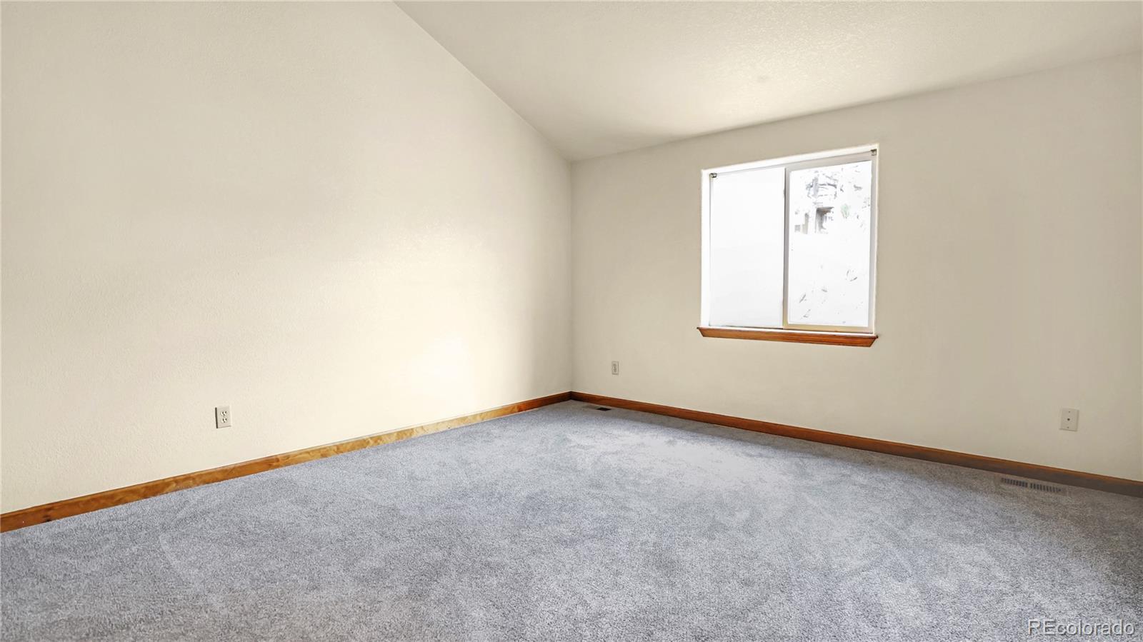 MLS Image #12 for 261  wilkins road,bailey, Colorado