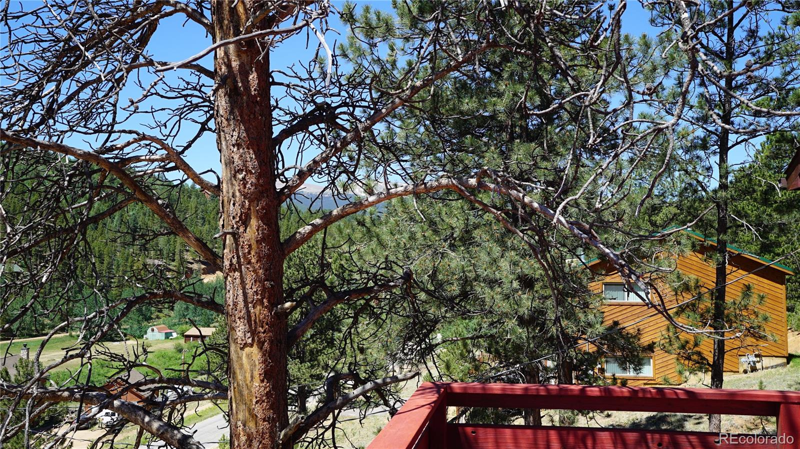 MLS Image #16 for 261  wilkins road,bailey, Colorado