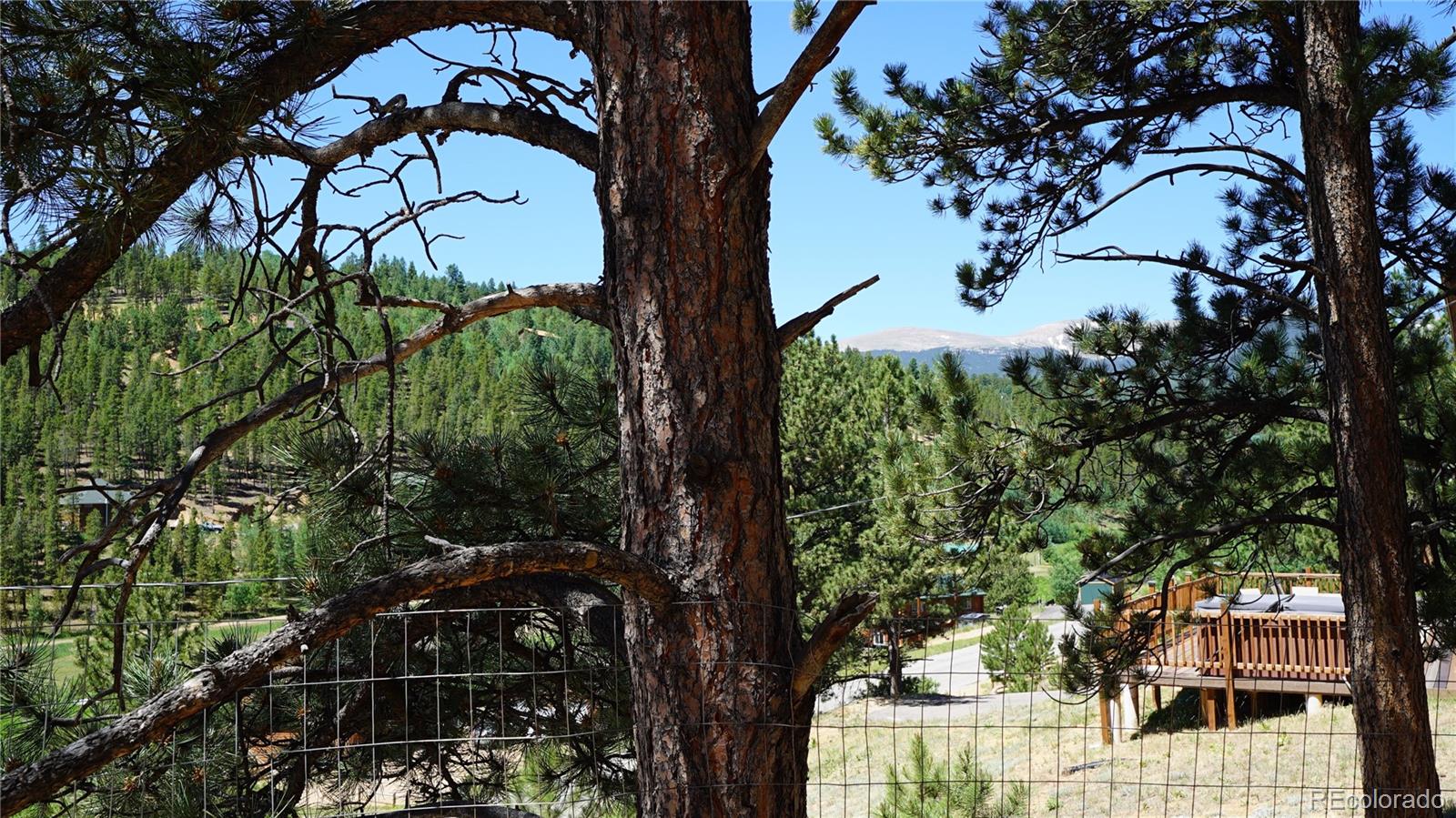 MLS Image #22 for 261  wilkins road,bailey, Colorado