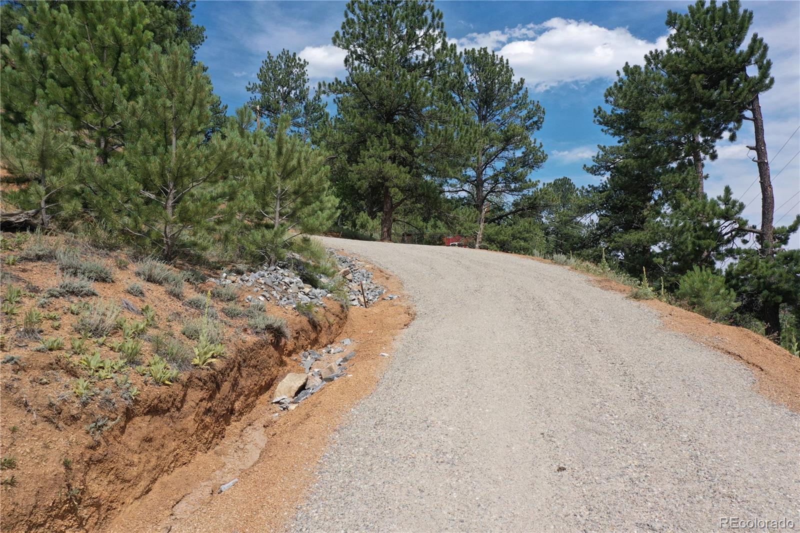 MLS Image #33 for 261  wilkins road,bailey, Colorado