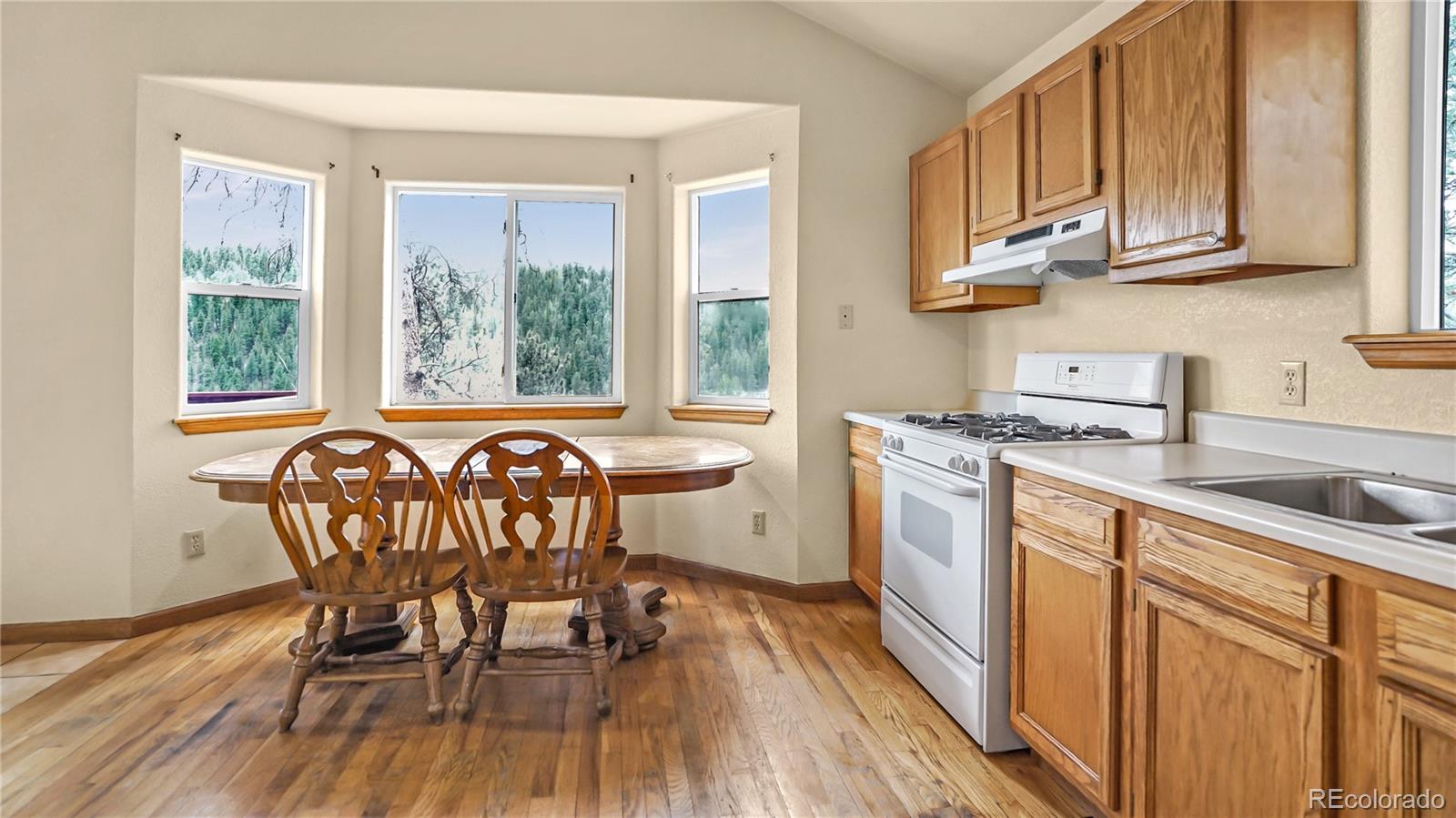 MLS Image #5 for 261  wilkins road,bailey, Colorado