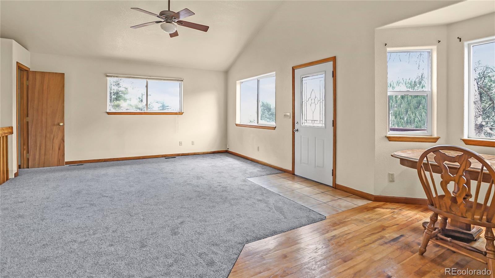 MLS Image #7 for 261  wilkins road,bailey, Colorado