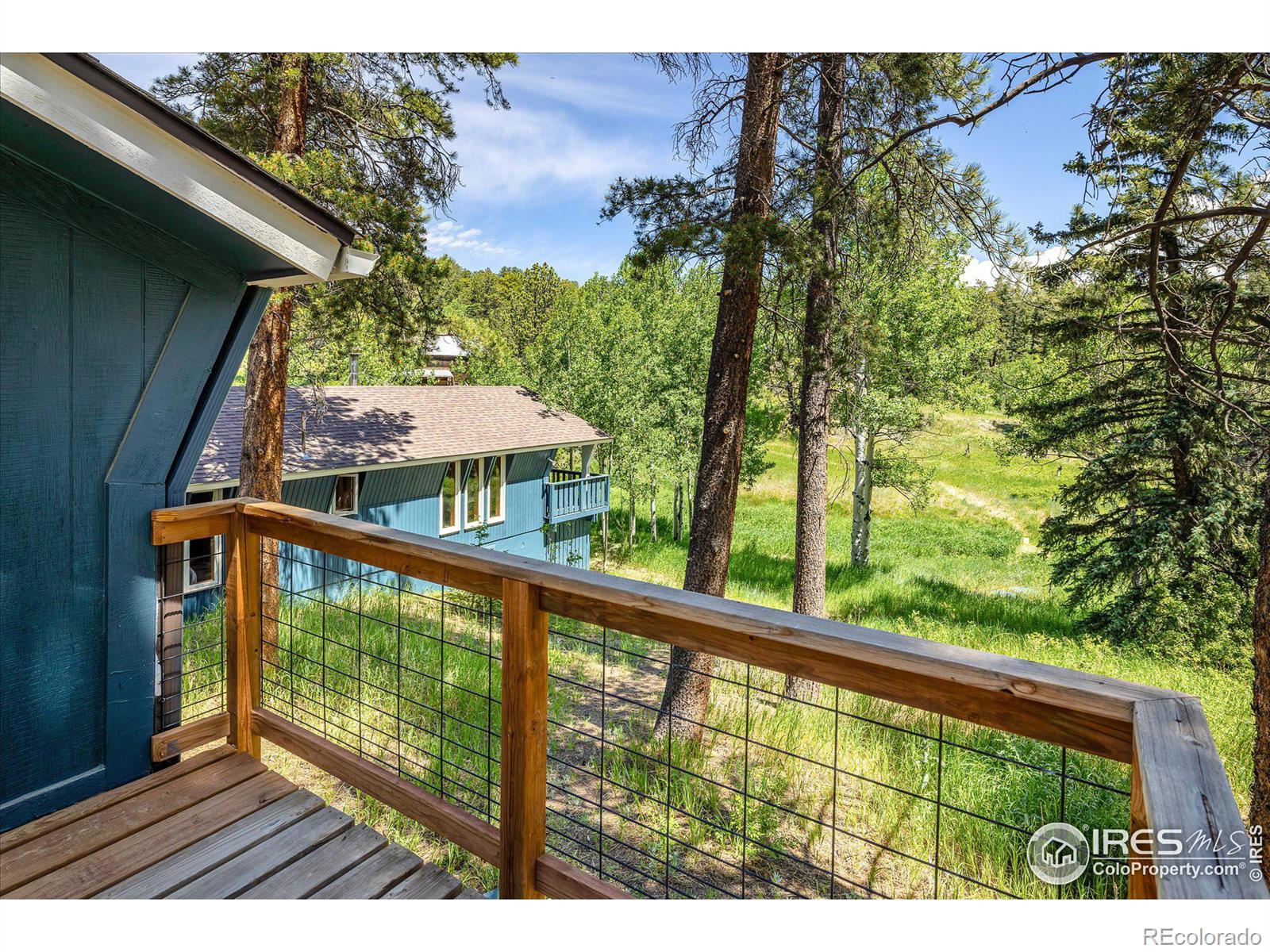 MLS Image #26 for 463  pine glade road,nederland, Colorado