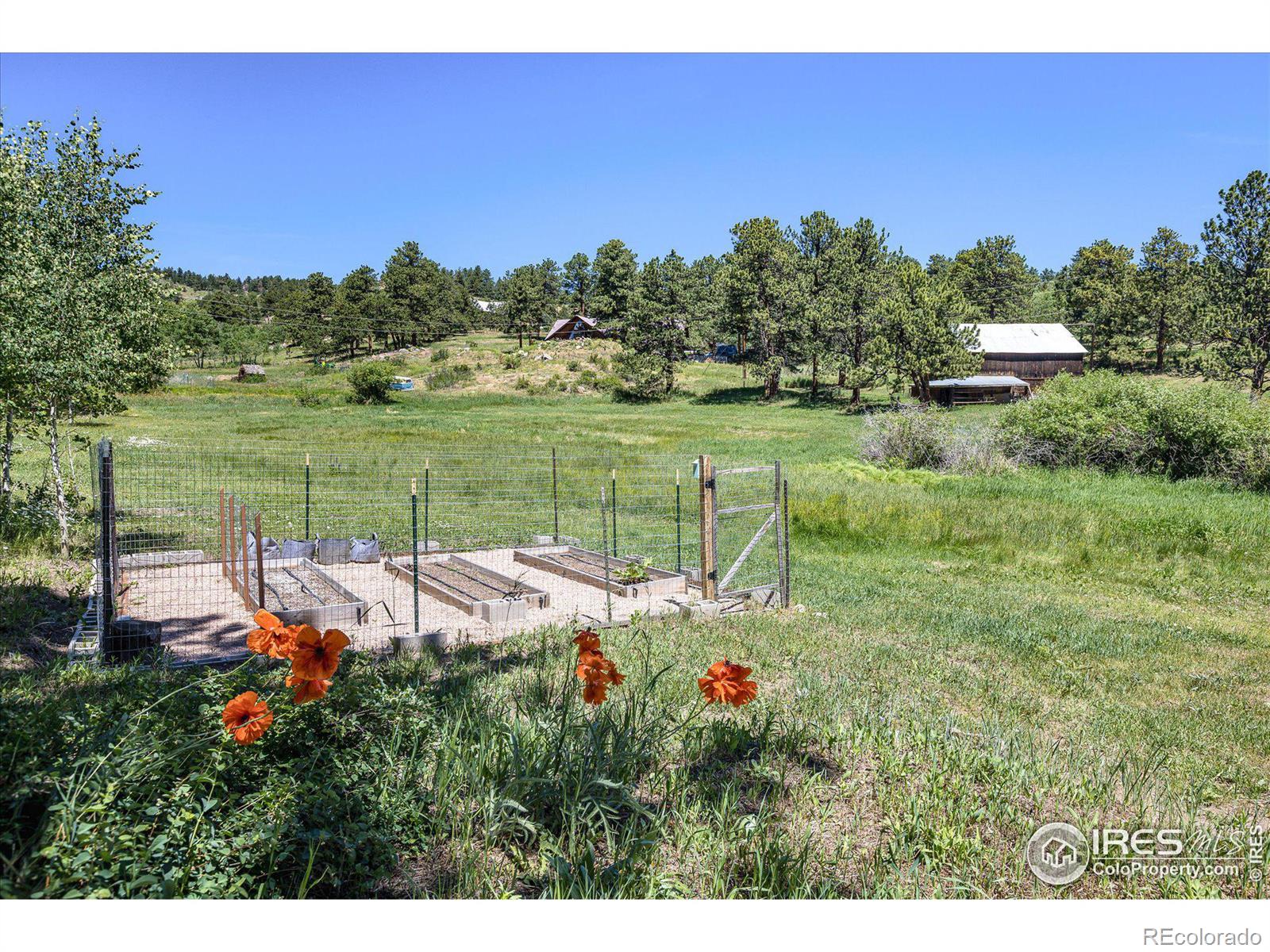 MLS Image #28 for 463  pine glade road,nederland, Colorado