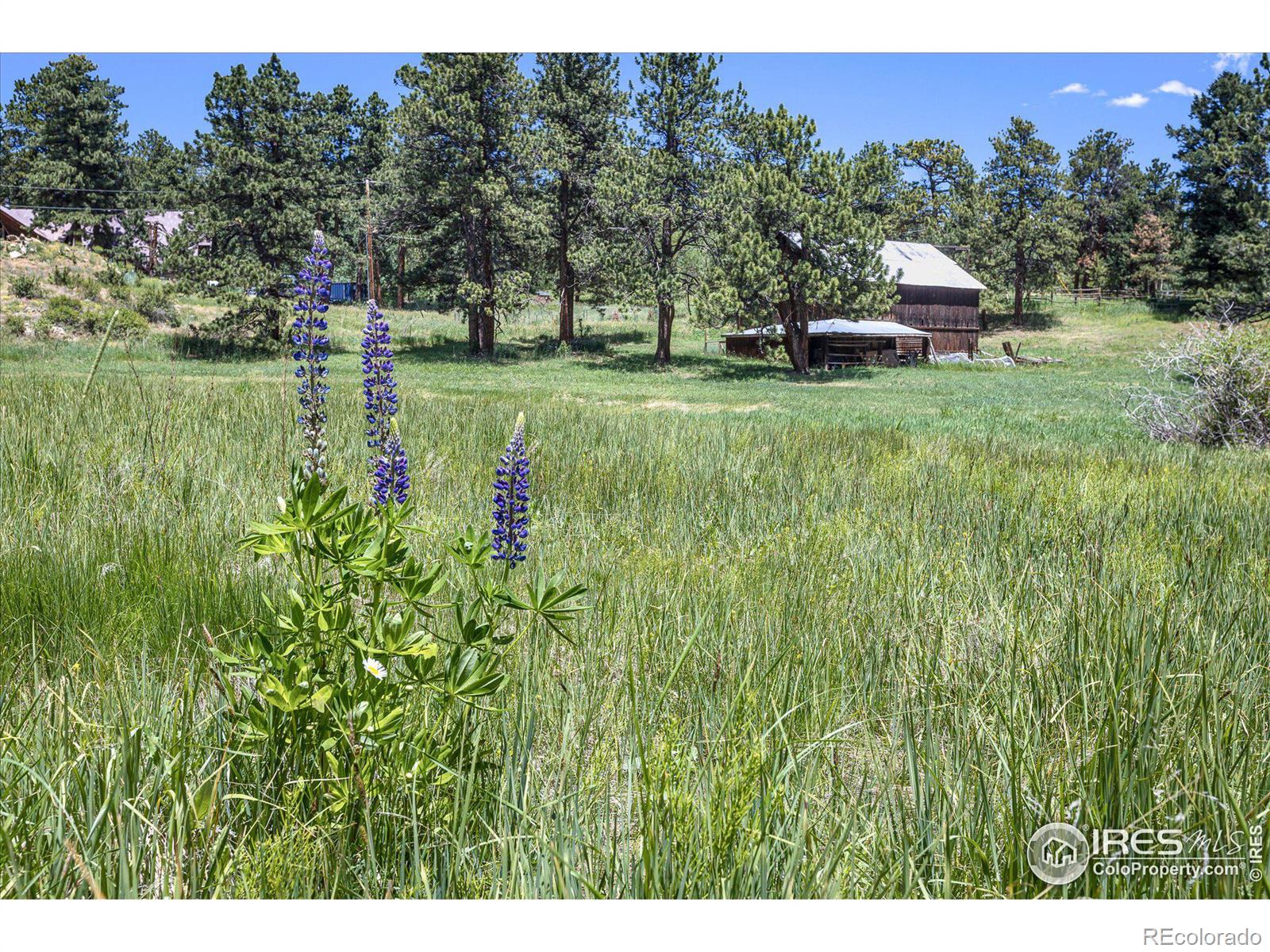 MLS Image #34 for 463  pine glade road,nederland, Colorado