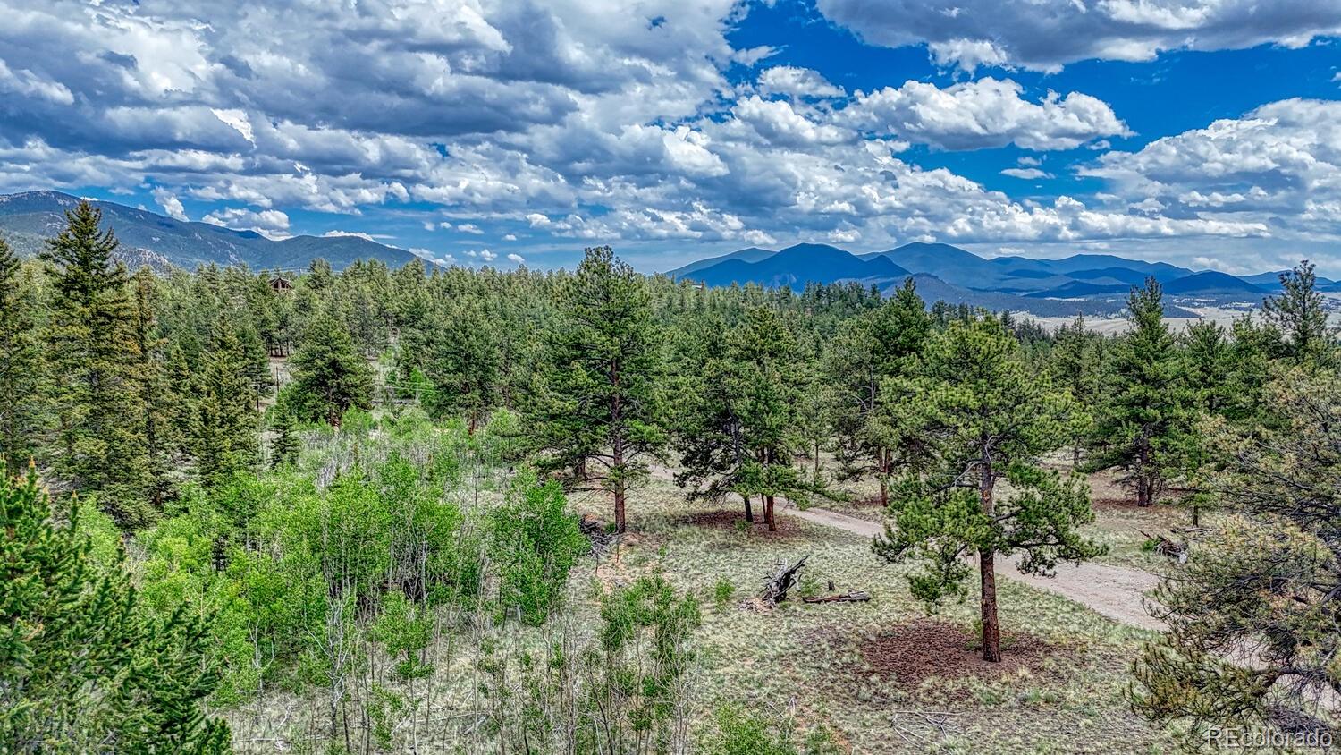 MLS Image #34 for 1329  derbishire road,jefferson, Colorado