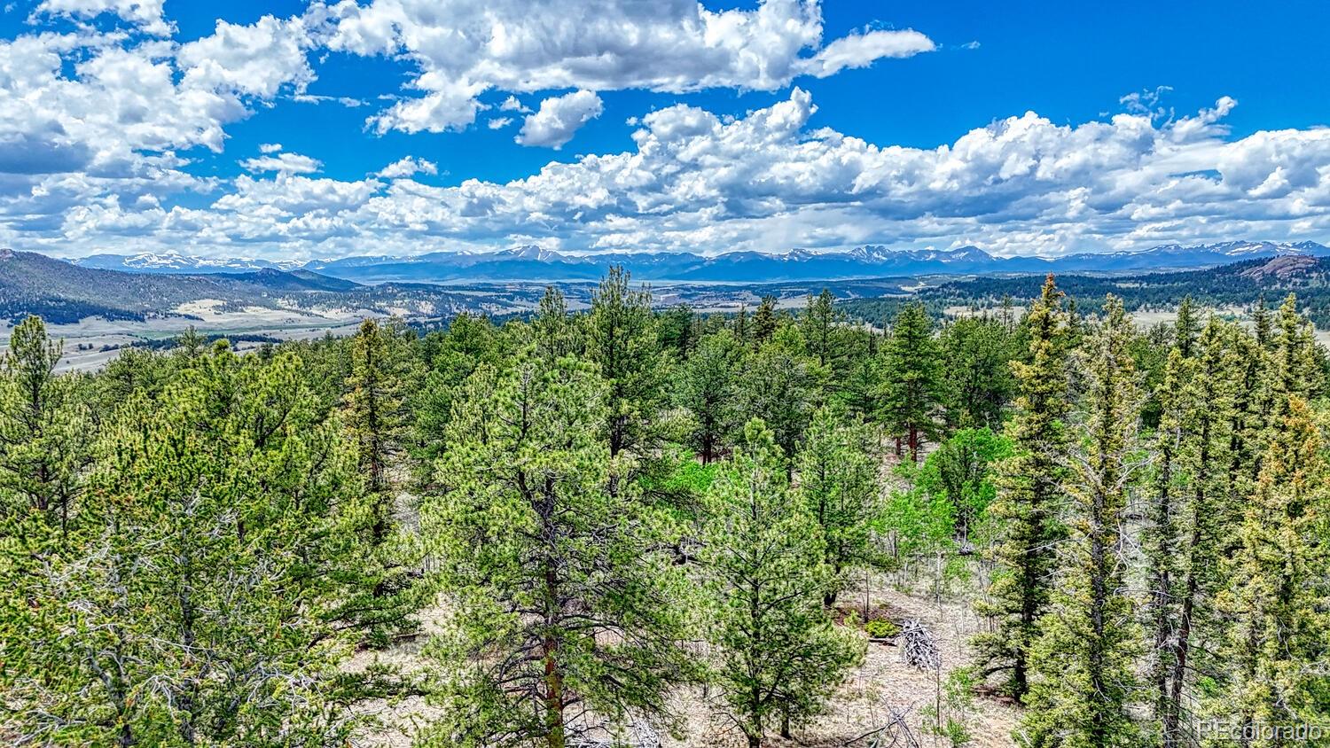 MLS Image #43 for 1329  derbishire road,jefferson, Colorado