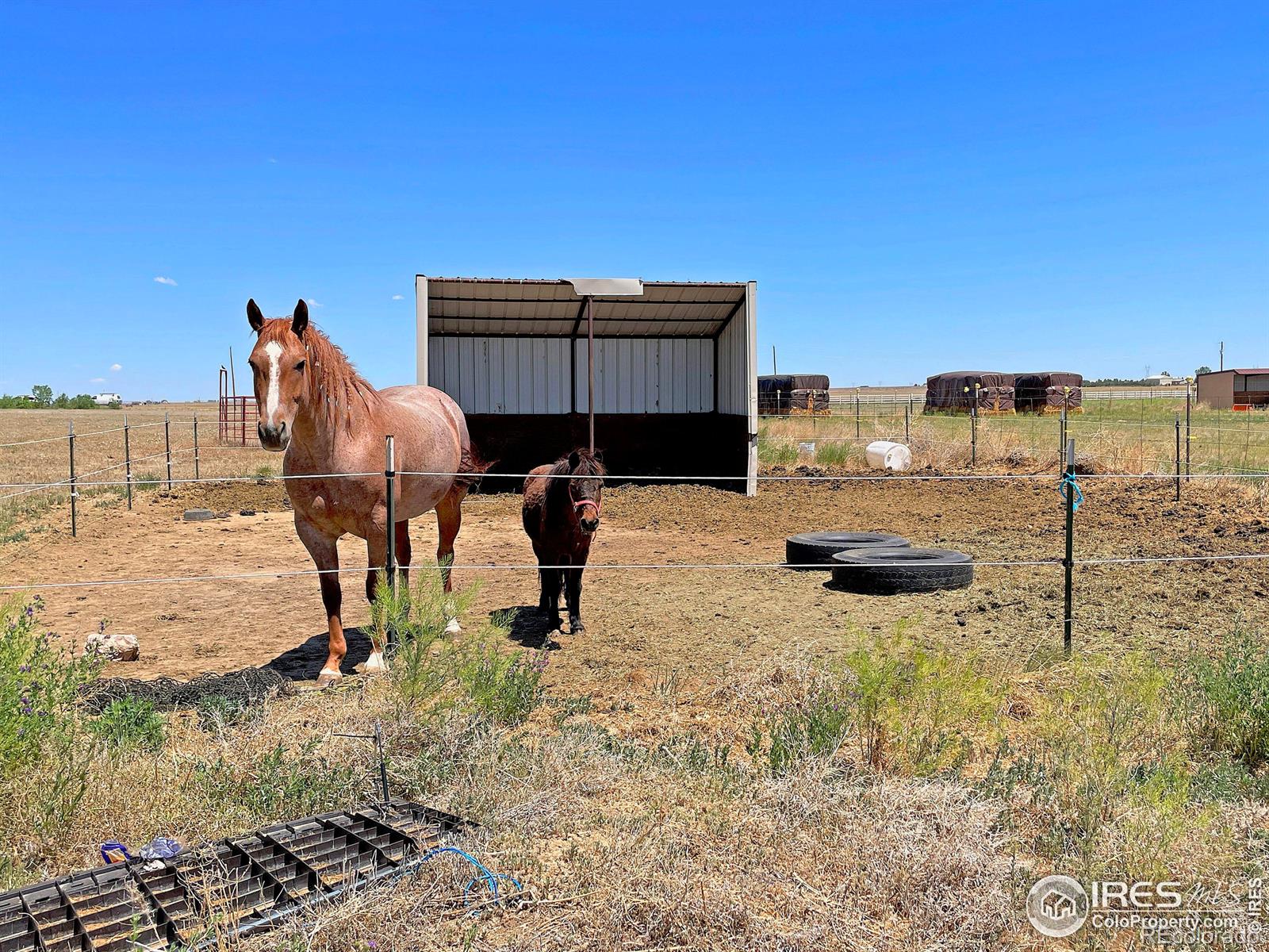 MLS Image #34 for 8416  shire road,nunn, Colorado