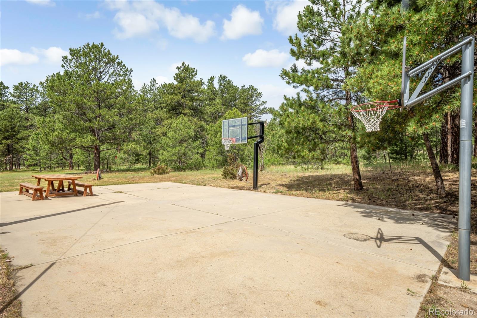 MLS Image #39 for 16325  roller coaster road,colorado springs, Colorado