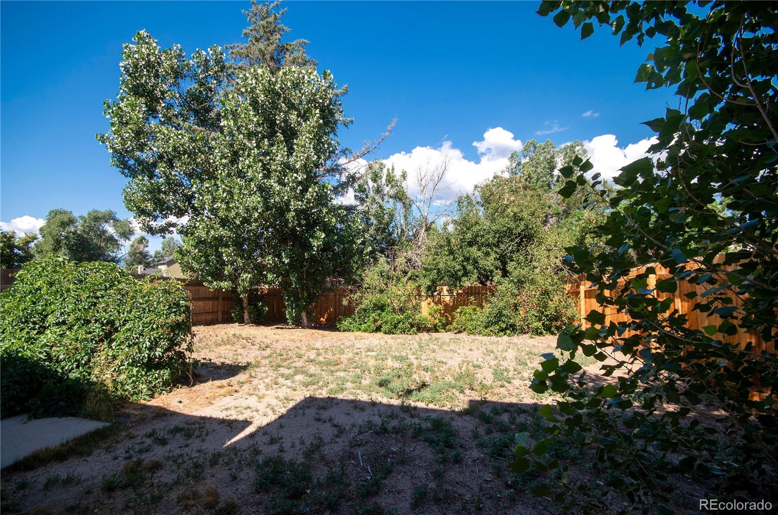 MLS Image #22 for 8670  boxelder drive,colorado springs, Colorado