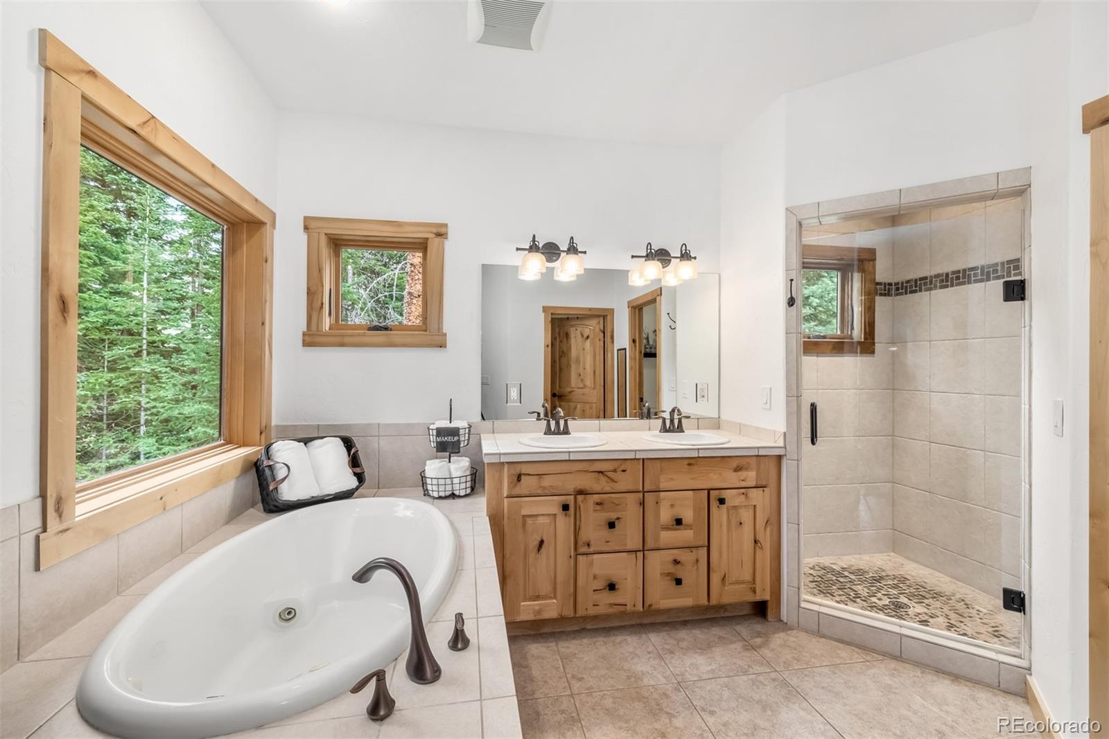 MLS Image #13 for 930  whispering pines lane,breckenridge, Colorado