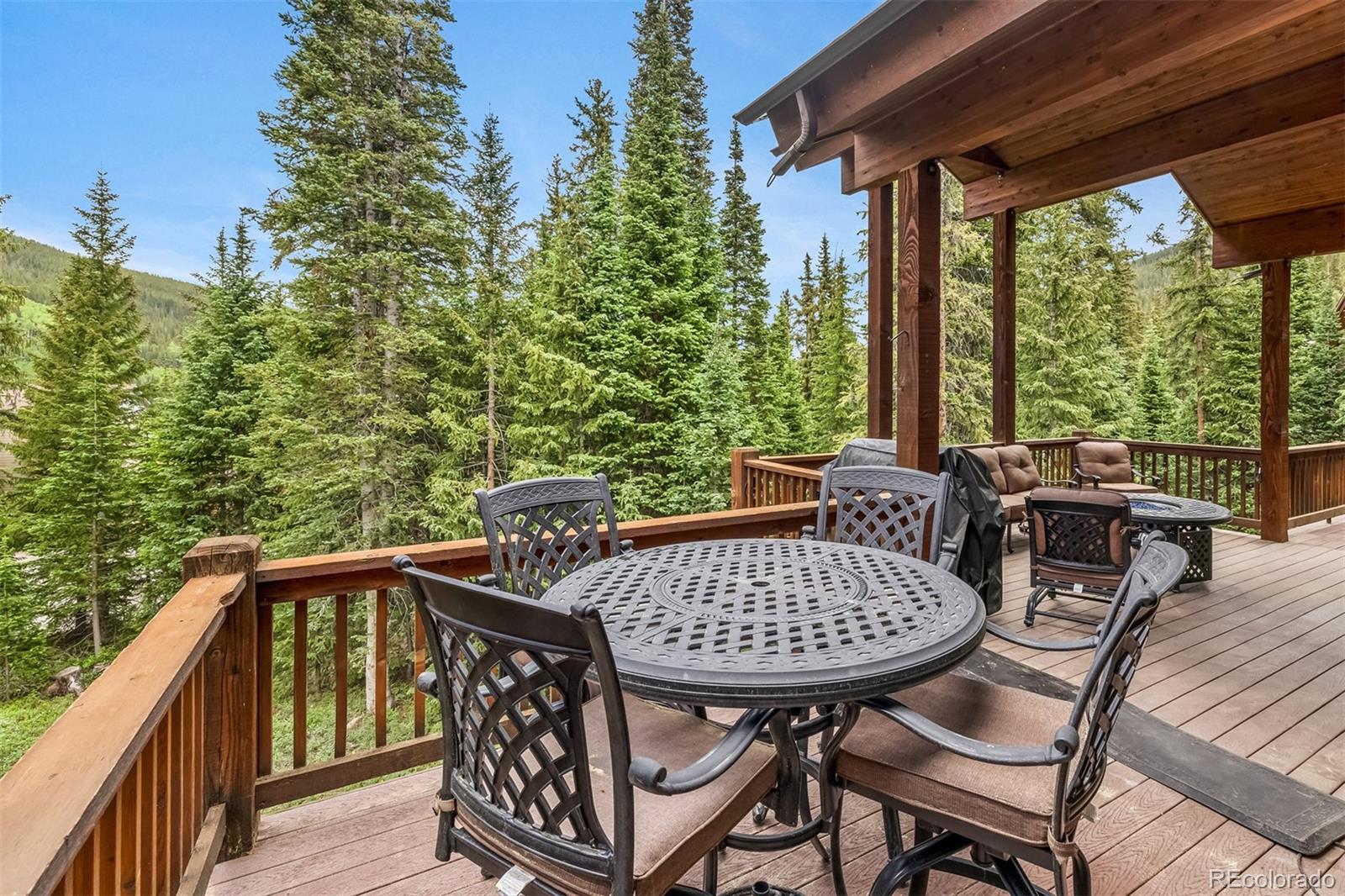 MLS Image #19 for 930  whispering pines lane,breckenridge, Colorado