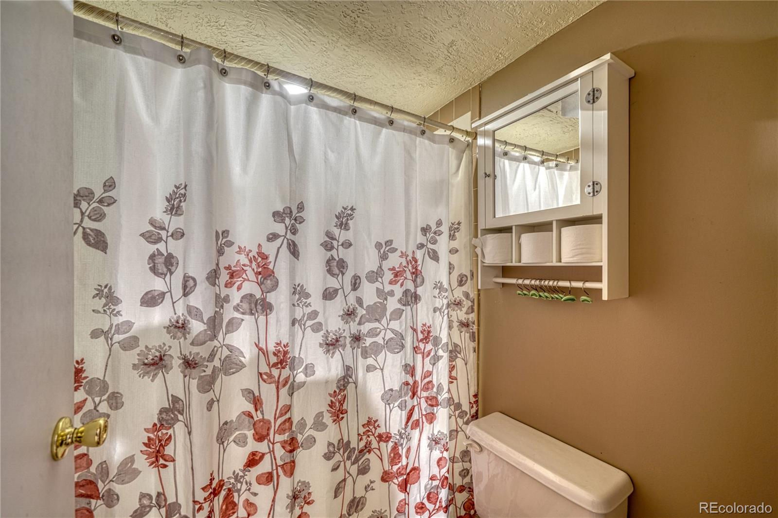 MLS Image #28 for 1829  ridgeview drive,leadville, Colorado