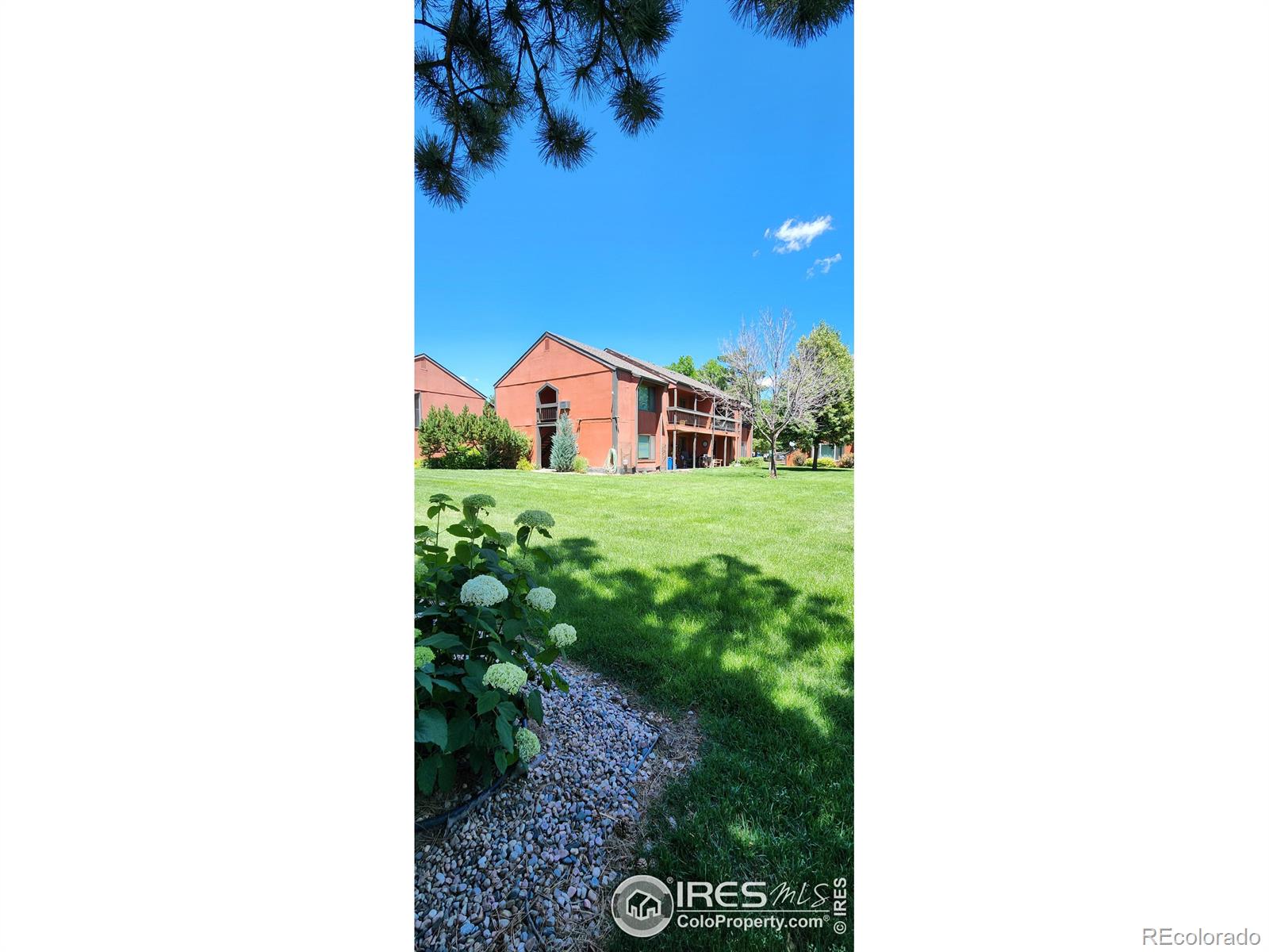 Report Image for 1625 W Elizabeth Street,Fort Collins, Colorado