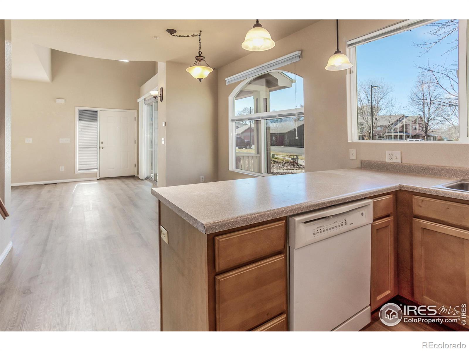 MLS Image #14 for 230  carina circle,loveland, Colorado