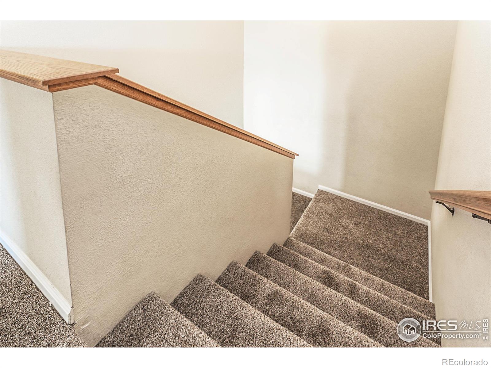 MLS Image #20 for 230  carina circle,loveland, Colorado