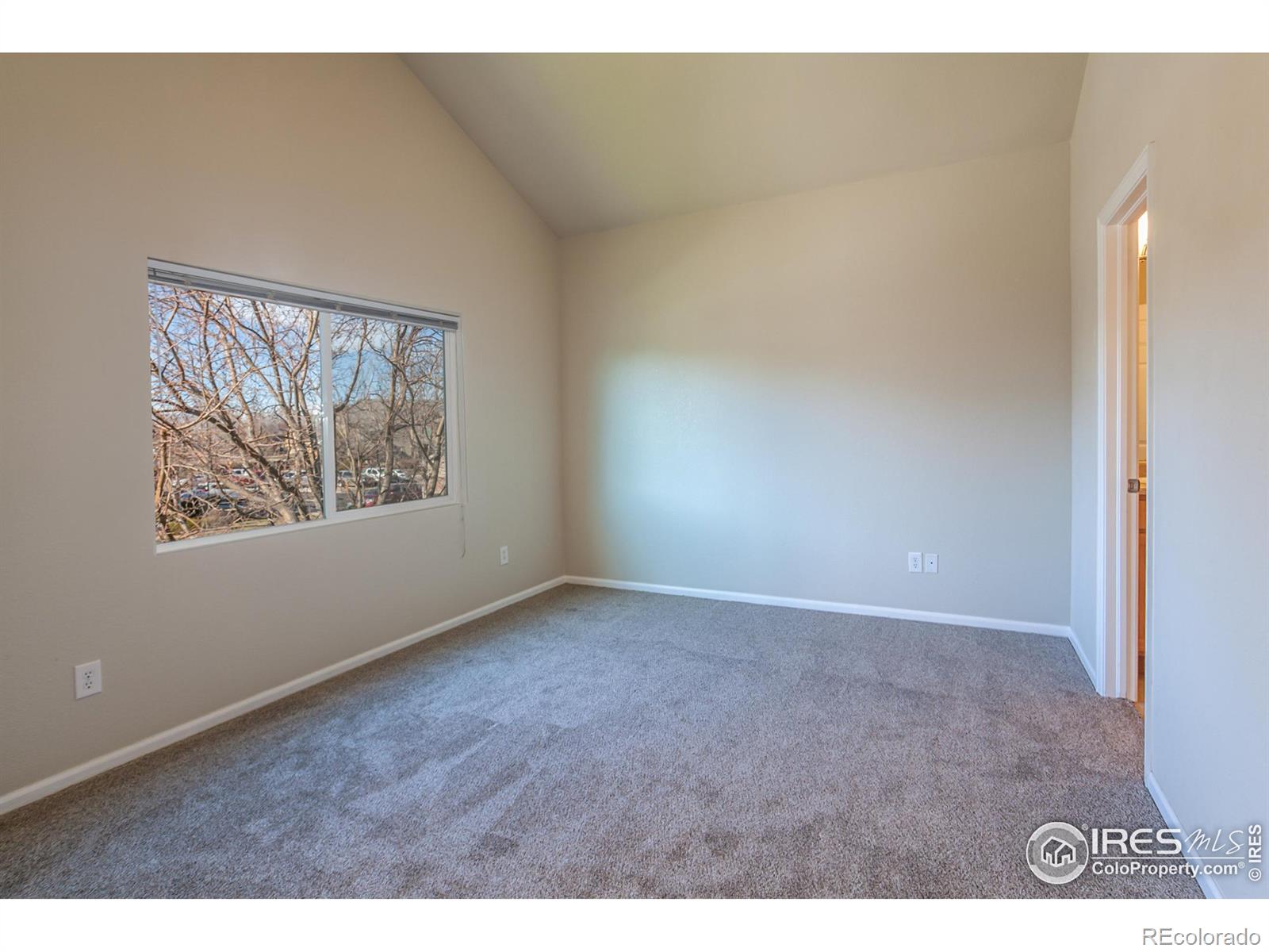 MLS Image #23 for 230  carina circle,loveland, Colorado