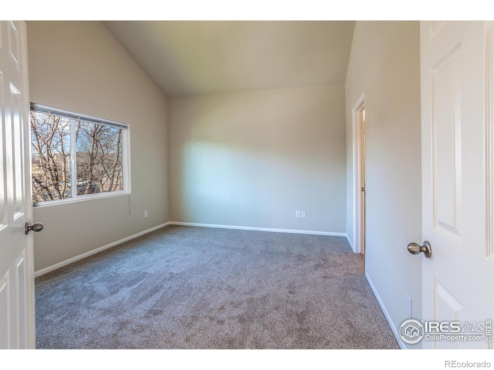 MLS Image #26 for 230  carina circle,loveland, Colorado