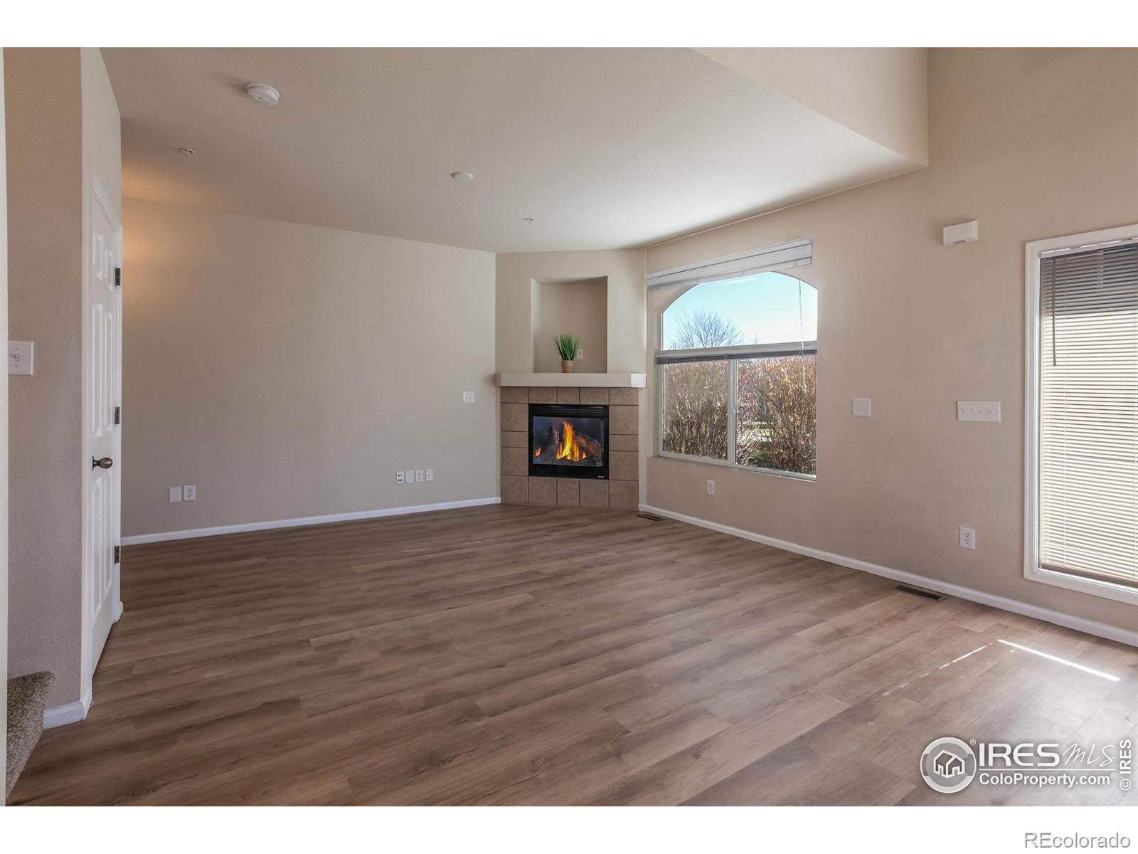 MLS Image #7 for 230  carina circle,loveland, Colorado
