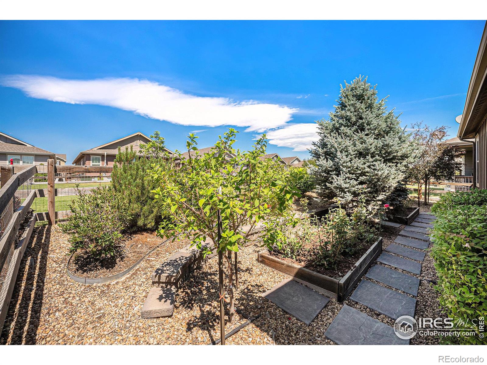 MLS Image #12 for 15665  columbine street,thornton, Colorado