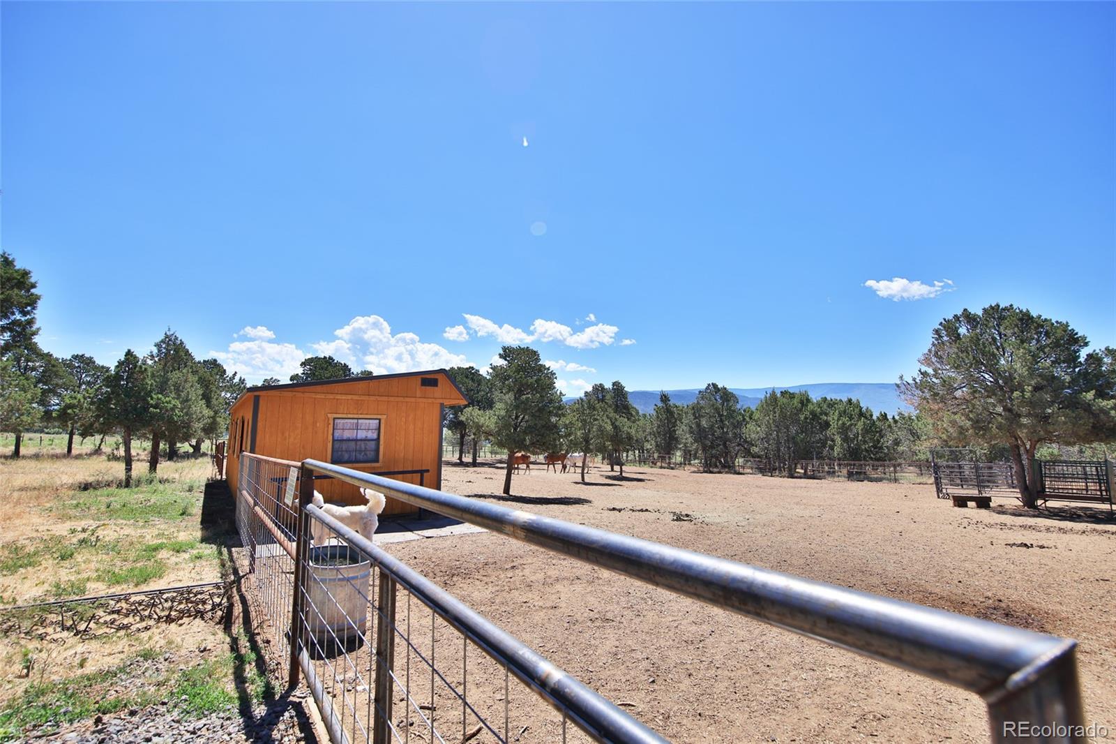 MLS Image #45 for 17492  kimball creek road,collbran, Colorado