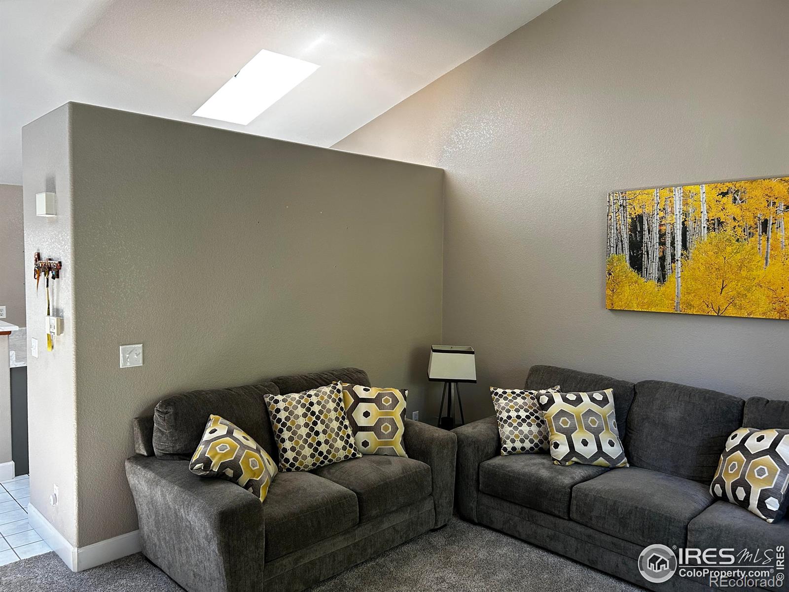 MLS Image #1 for 13477  falls drive,broomfield, Colorado