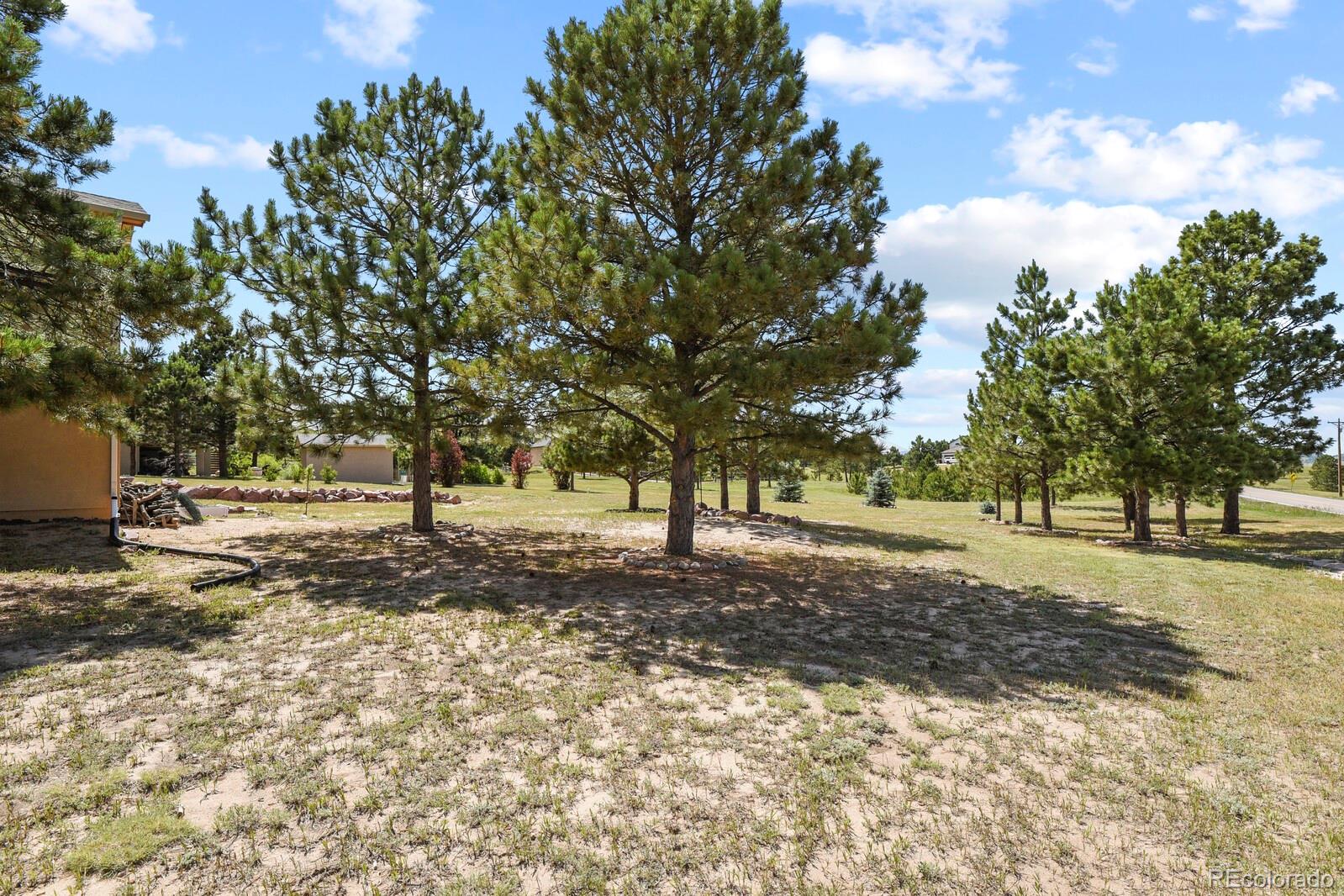 MLS Image #41 for 4130  sudbury road,colorado springs, Colorado