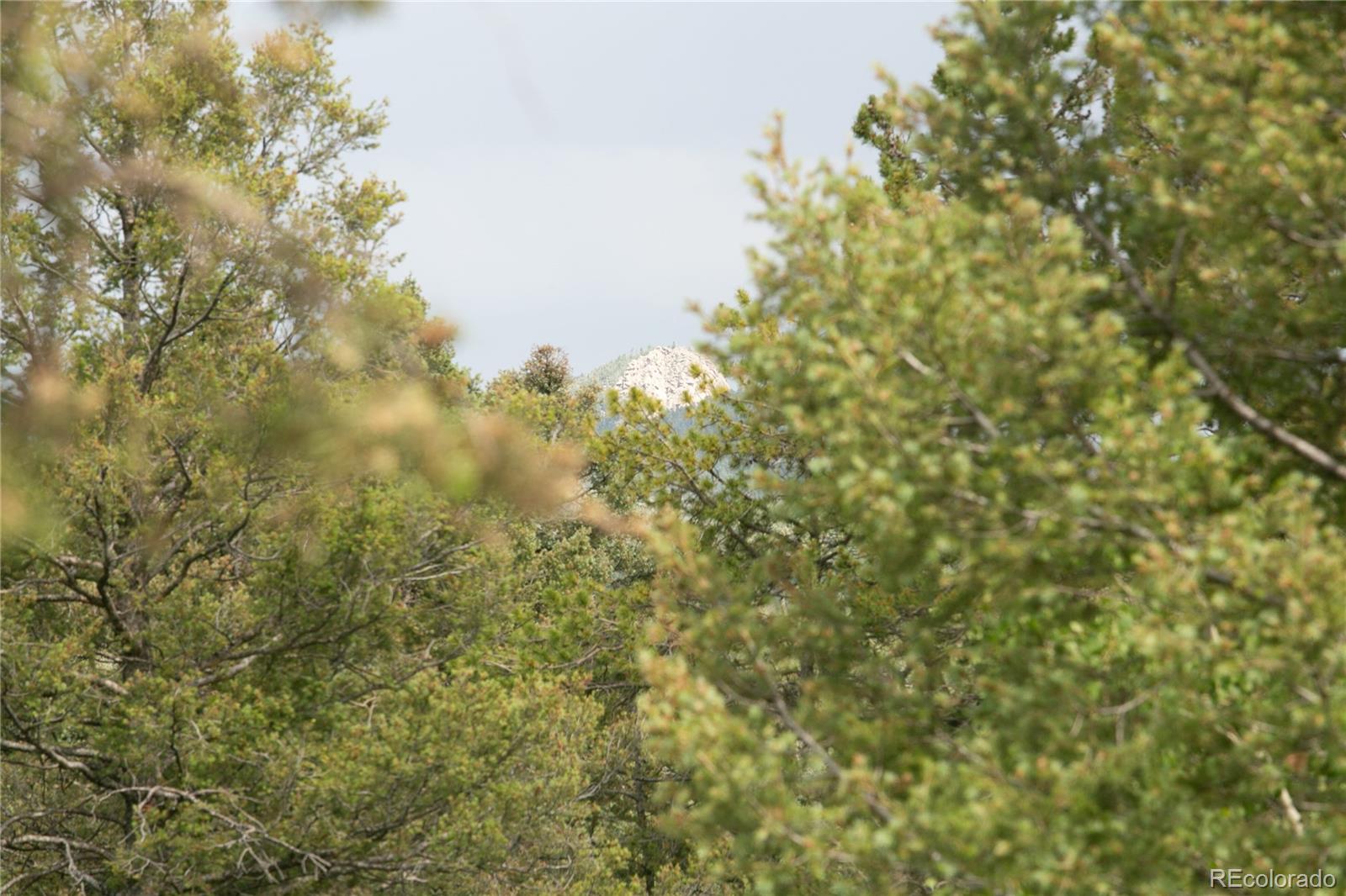 MLS Image #7 for 11887  navajo trail,conifer, Colorado