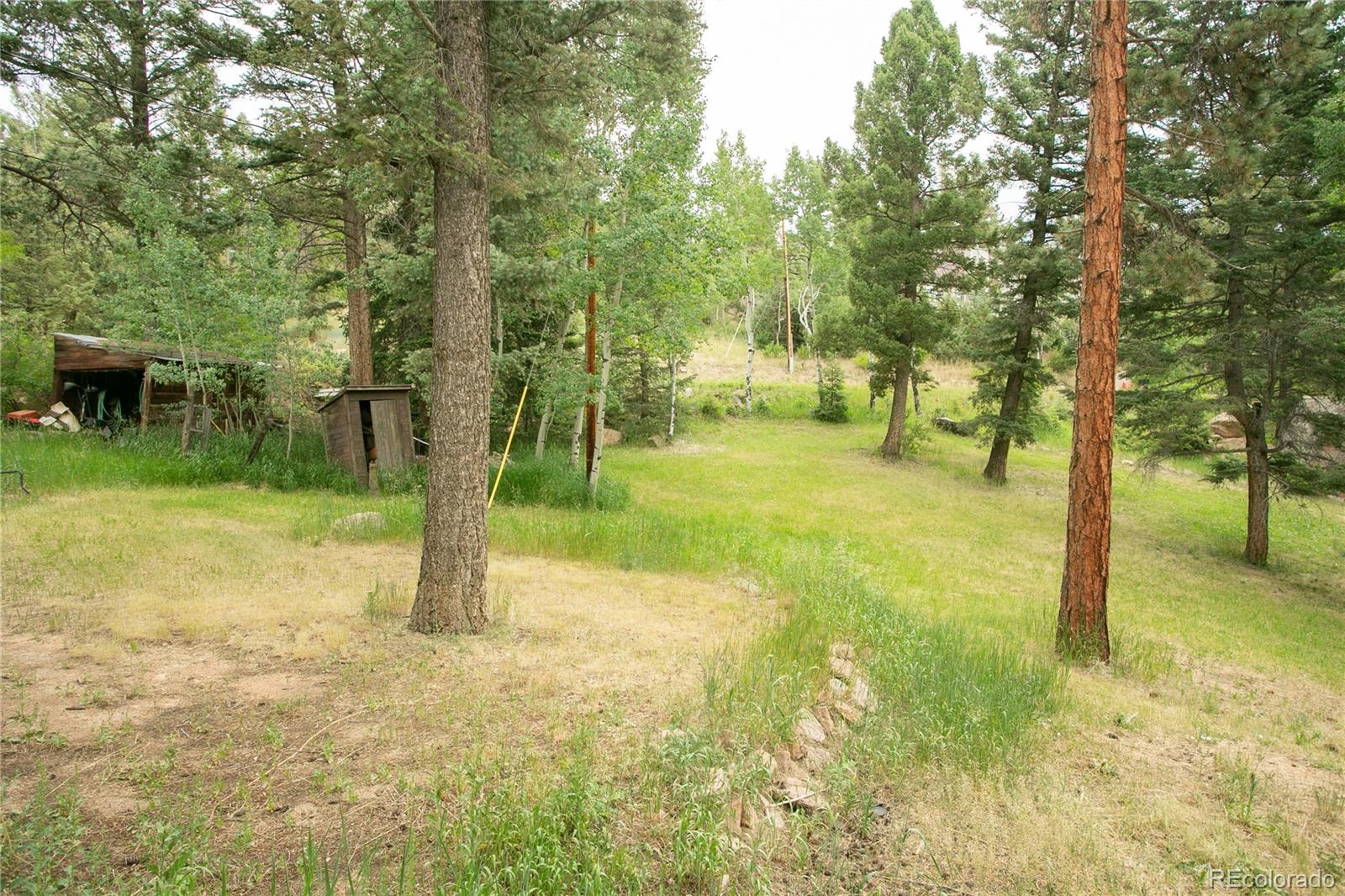 MLS Image #9 for 11887  navajo trail,conifer, Colorado