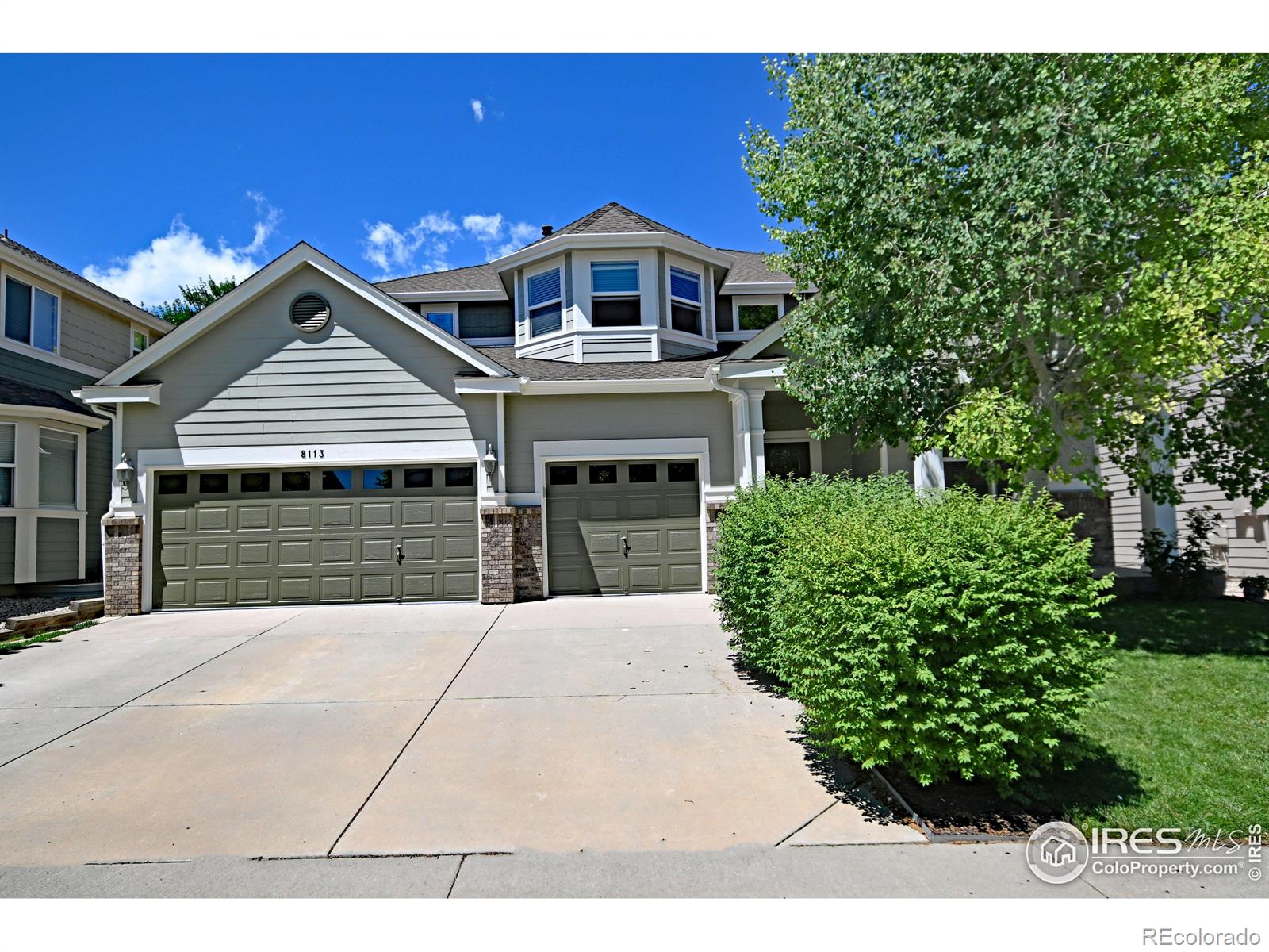 MLS Image #0 for 8113  northstar drive,windsor, Colorado