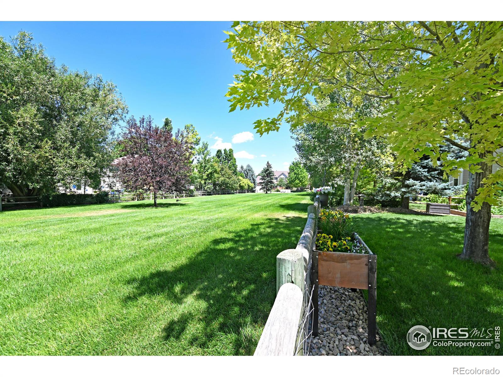 MLS Image #38 for 8113  northstar drive,windsor, Colorado