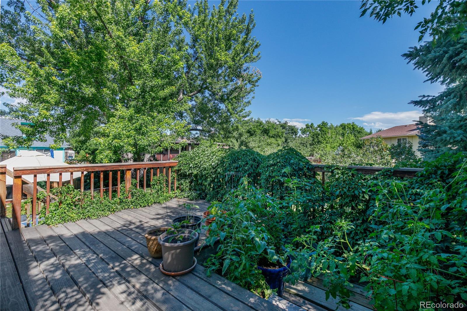 MLS Image #7 for 9867 w 75th way,arvada, Colorado