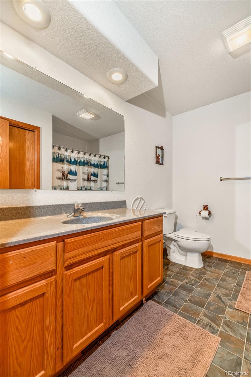 MLS Image #11 for 346  bonus gulch way,jefferson, Colorado