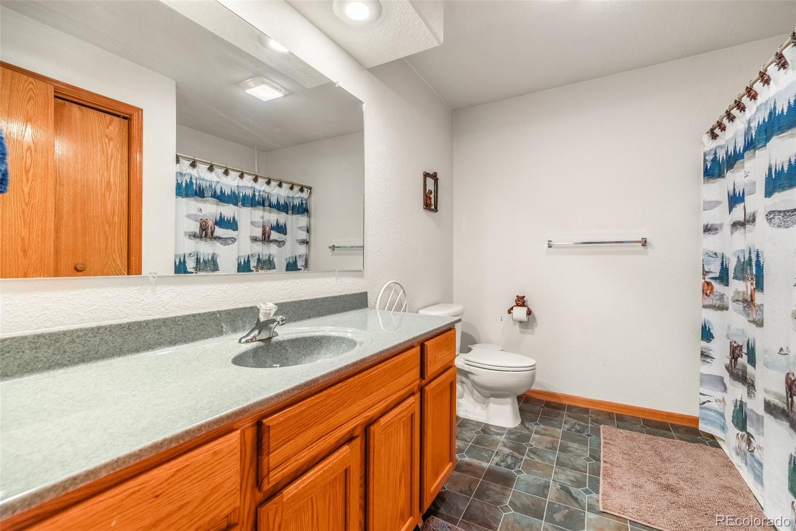 MLS Image #4 for 346  bonus gulch way,jefferson, Colorado