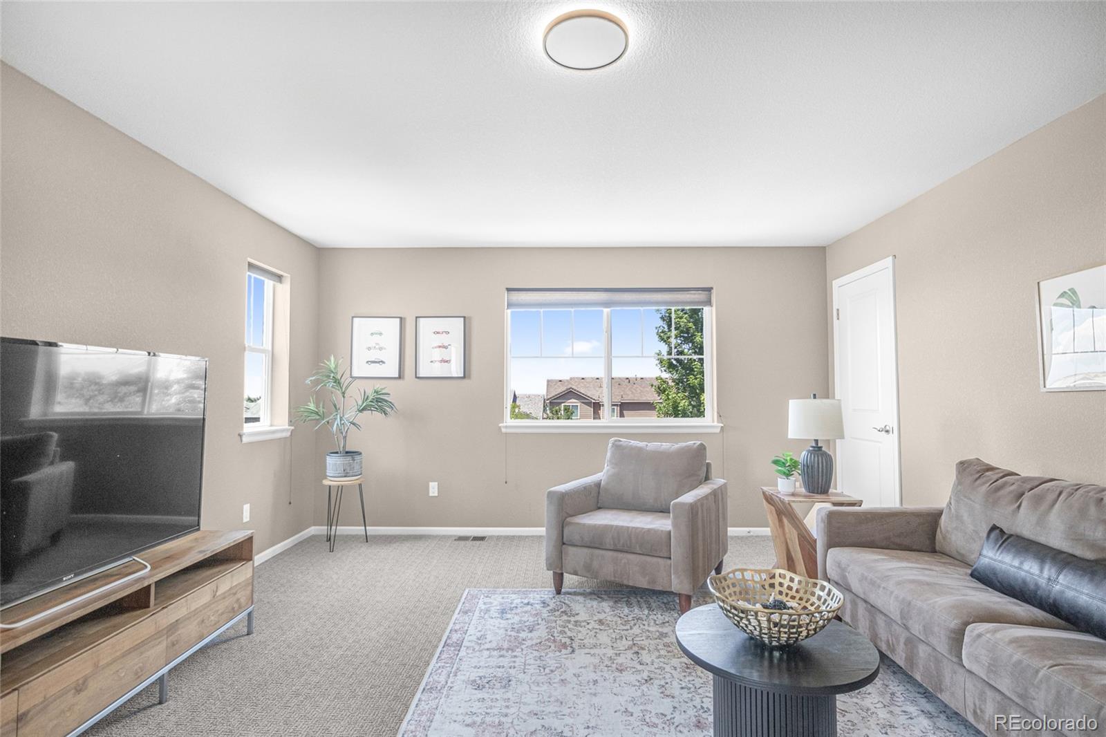 MLS Image #18 for 14173  greenfield loop,parker, Colorado